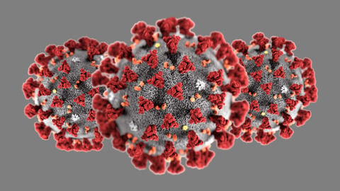 CDC 3D rendering of the novel coronavirus 2020