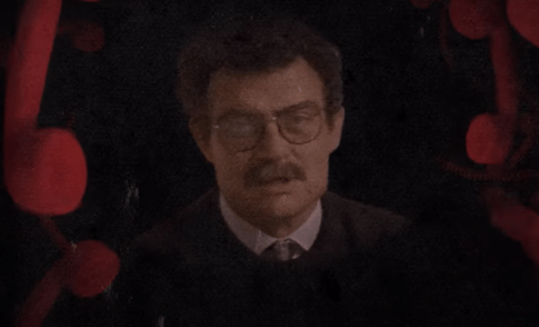 Bashir Kouchacji, Lebanese American restaurateur, abduction and harassment mystery