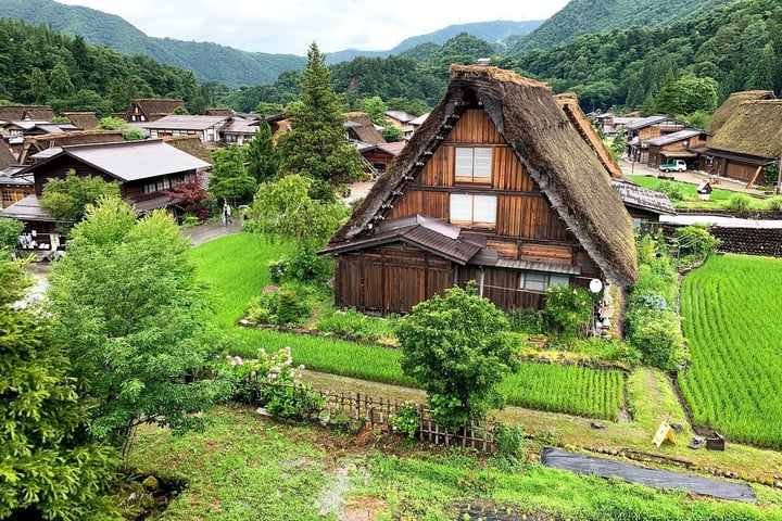 solace-hut-home