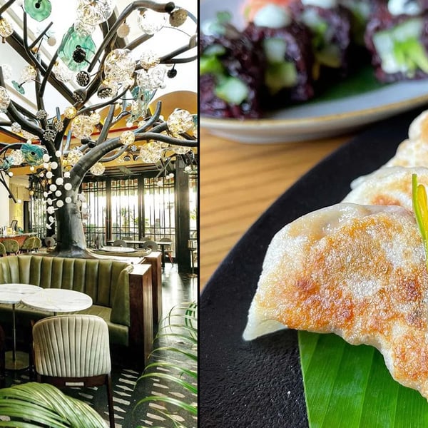 Top-Restaurants-in-Delhi-NCR-food