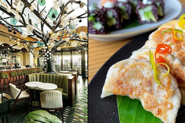 Top-Restaurants-in-Delhi-NCR-food