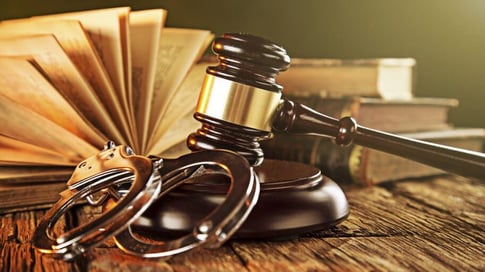 VIVEK-AGARWAL-CRIMINAL-INVESTIGATION-SUNLAND, agrifields dmcc, amit gupta