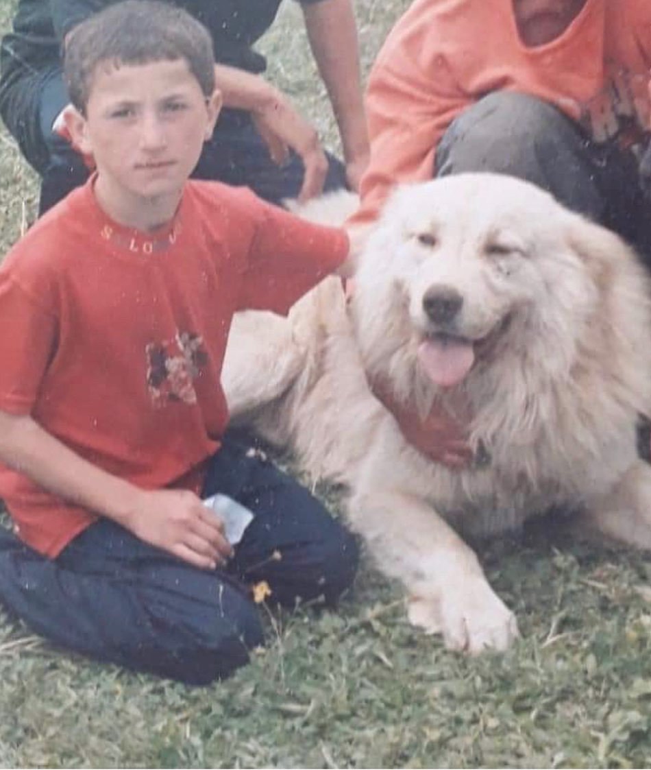 merab dvalishvili stats, merab dvalishvili record, merab dvalishvili stats, merab record, Merab Dvalishvili childhood