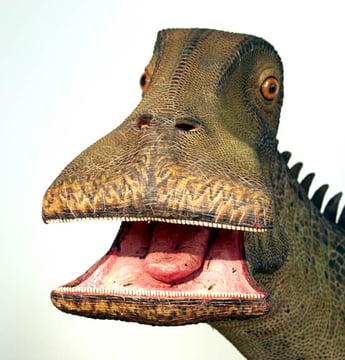 what dinosaur has 500 teeth, nigersaurus