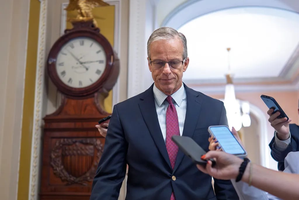 Trump arrested Senate protester, Capitol Police detain Allen D. Rogers, big beautiful bill disruption, Senate gallery incident, Trump megabill