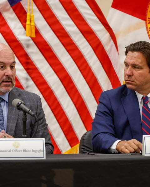 Ron DeSantis DOGE blueprint Florida government efficiency reform