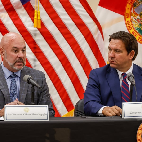 Ron DeSantis DOGE blueprint Florida government efficiency reform