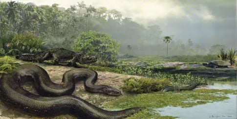 titanoboa vs congo snake, fossil giant snake, katanga legend