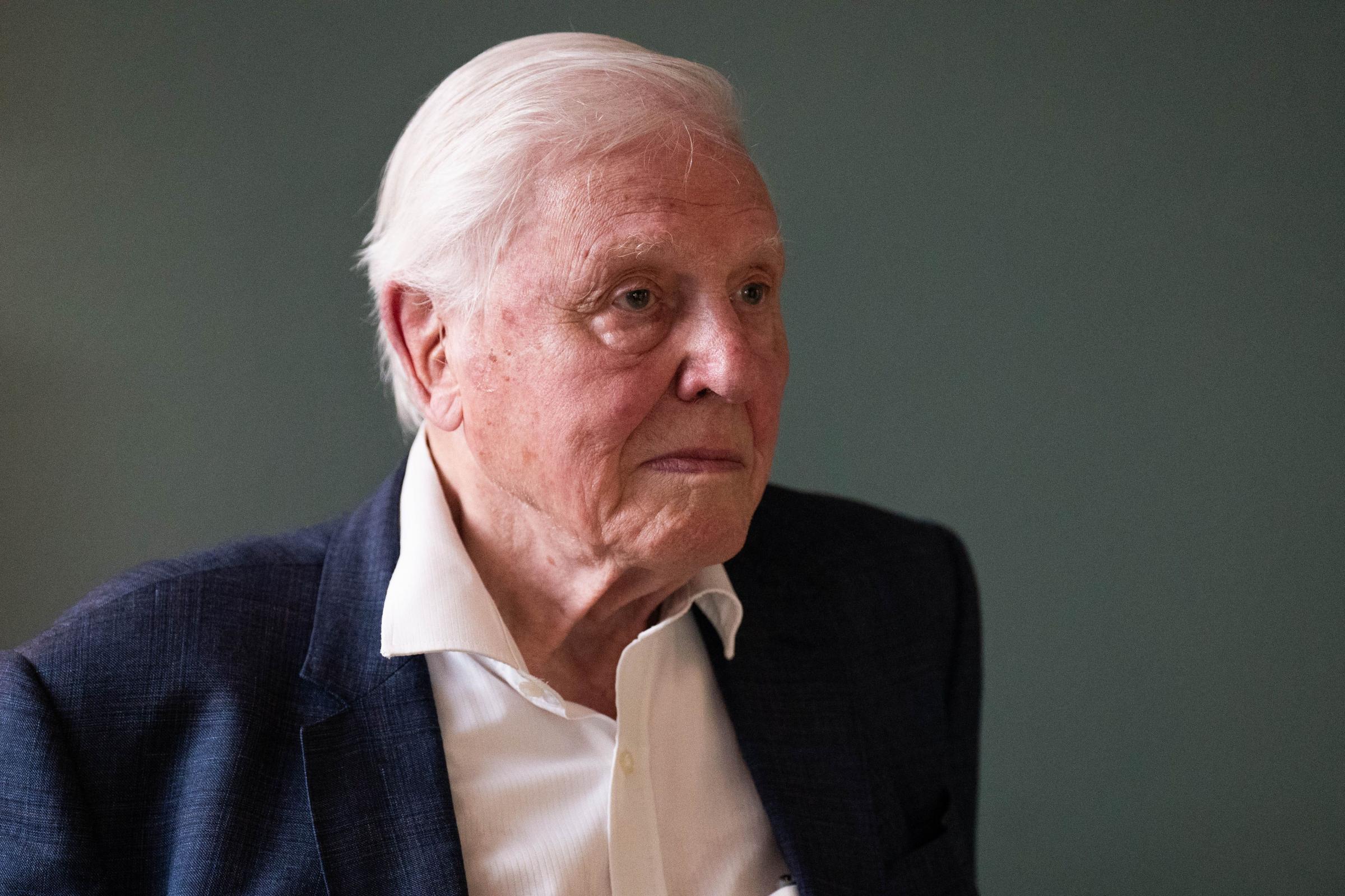 Sir David Attenborough becomes the oldest Daytime Emmy winner at 99 Sir David Attenborough, 99, honored as Outstanding Daytime Personality, Non-Daily