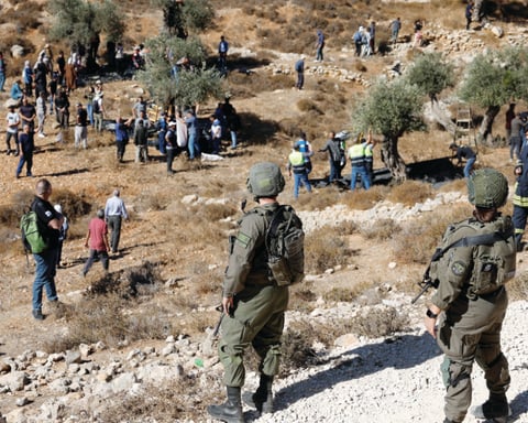 Palestinian farmers harvesting olives amid settler violence in West Bank 2025