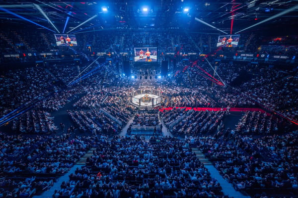 MMA global fanbase following McGregor news