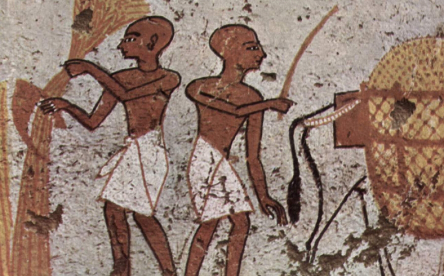 Agriculture changed human evolution and genetic adaptation