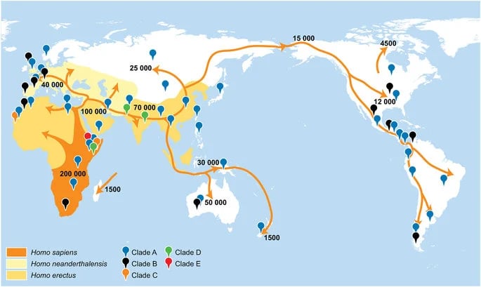 Ancient DNA mapping human migration and evolution