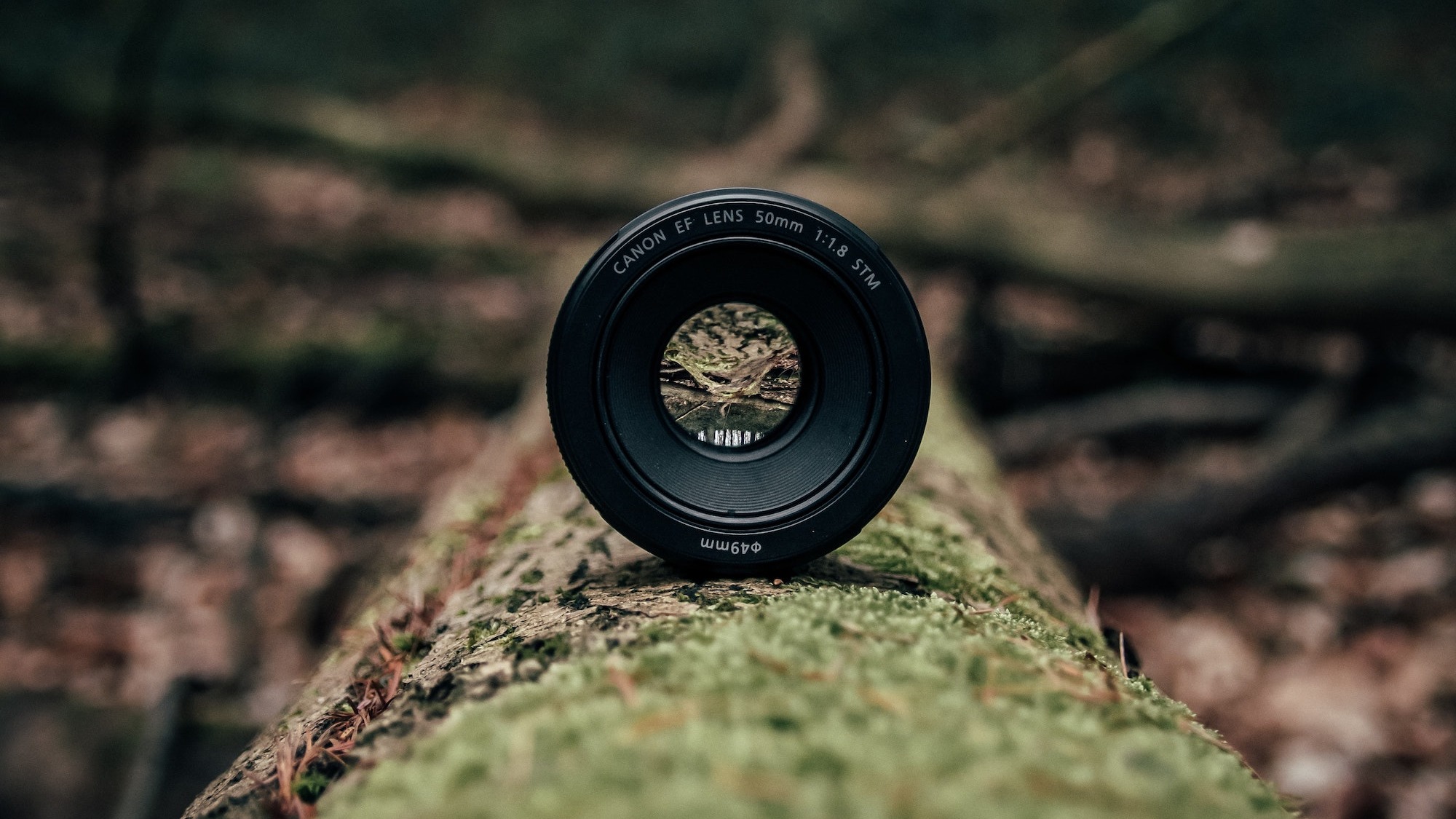 Depth of Field Control in Smartphone Photography Depth of field comparison showing portrait blur vs sharp landscape