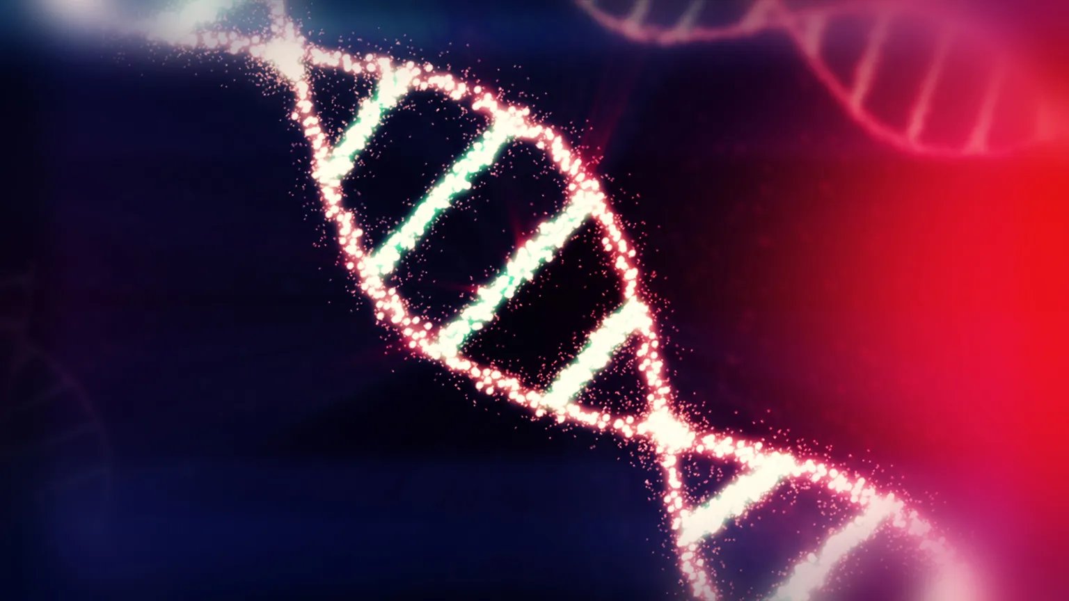 Ancient DNA study reveals accelerated human evolution over 10000 years