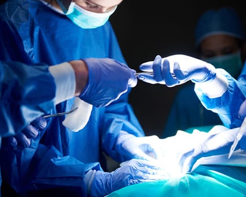 Liver transplant surgery showing breakthrough immune tolerance therapy