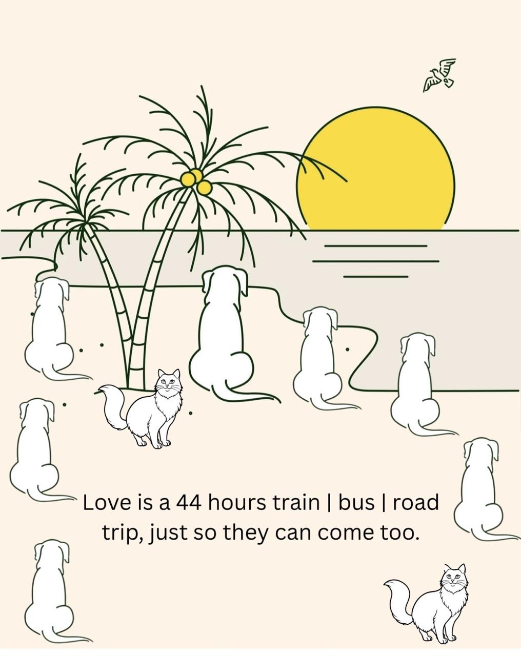 Five dogs, two cats, one toddler, and a journey that redefined what family truly means.