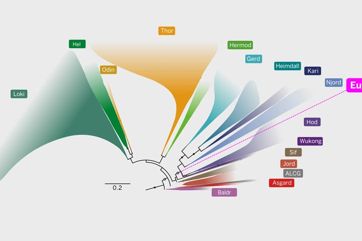 Illustration of Asgard archaea microbe as the common ancestor of all eukaryotes including plants, animals and fungi