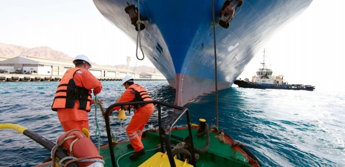 Maritime Quarantine Response on Cruise Ship Medical teams boarding cruise ship for quarantine inspection during hantavirus outbreak investigation