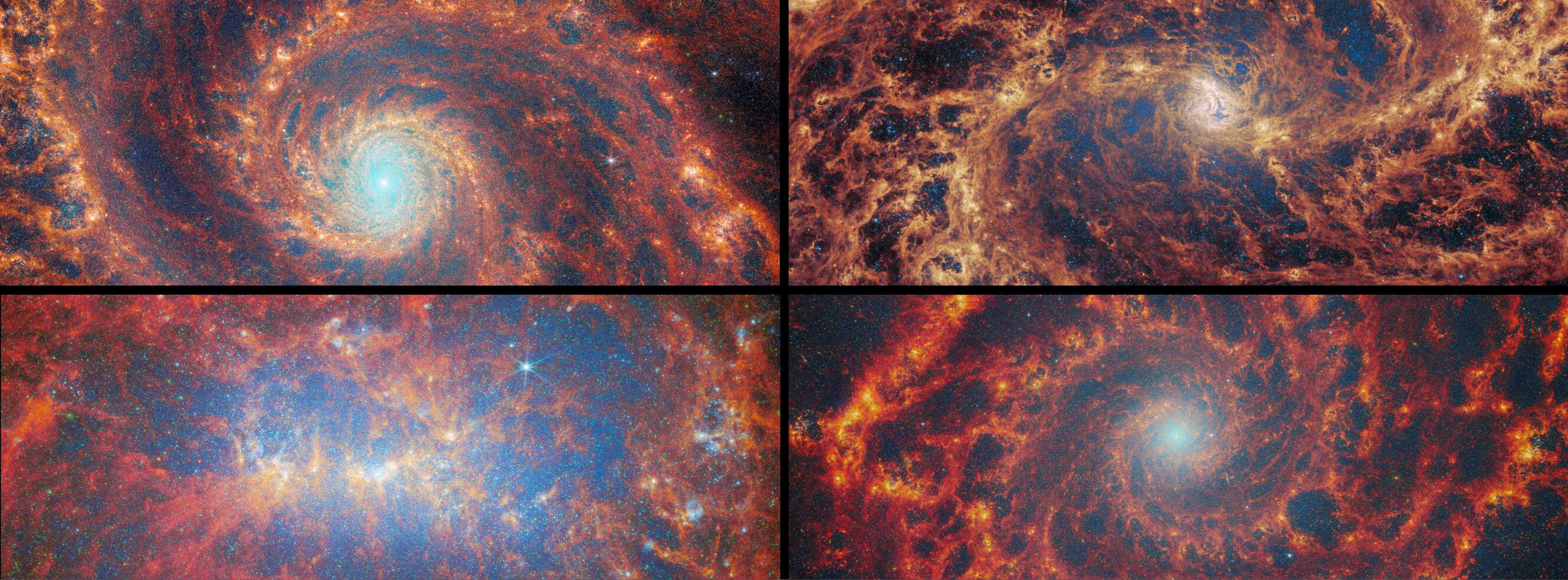 Collage of four spiral galaxies Messier 51 Messier 83 NGC 628 and NGC 4449 imaged by the James Webb Space Telescope for the FEAST star cluster survey