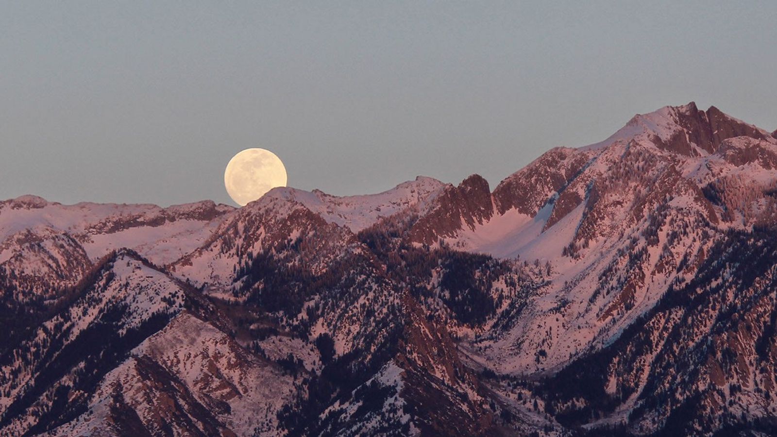 Flower Moon rising on May 1, 2026 over spring landscape with Scorpio constellation in night sky
