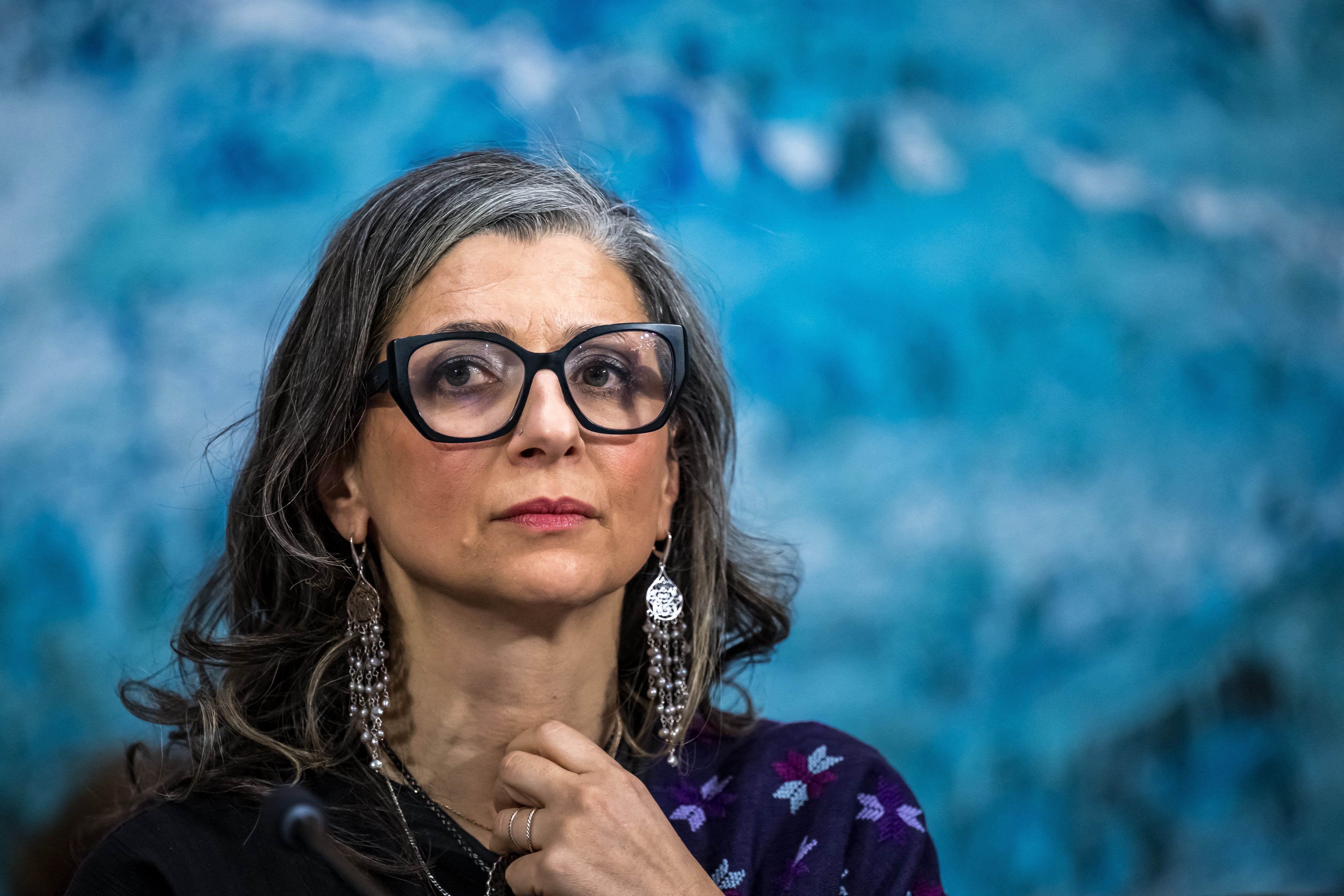 Francesca Albanese UN rapporteur Palestinian territories speaks to reporters United Nations