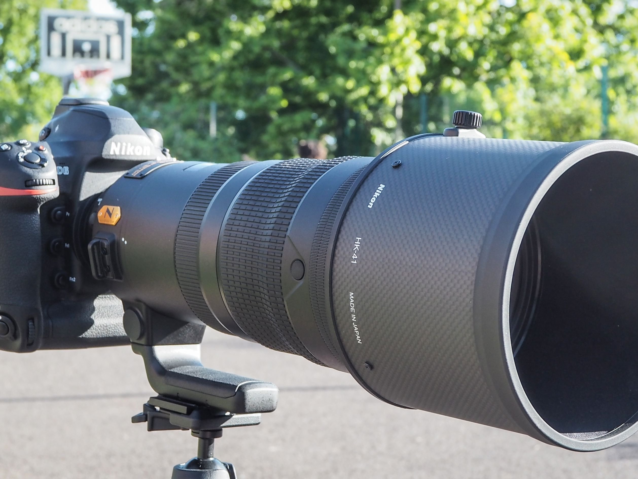 Nikon Z 120-300mm f/2.8 Teleconverter Lens in Action
