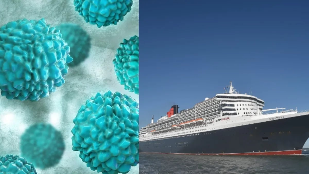 Visualization of norovirus spreading through cruise ship confined spaces