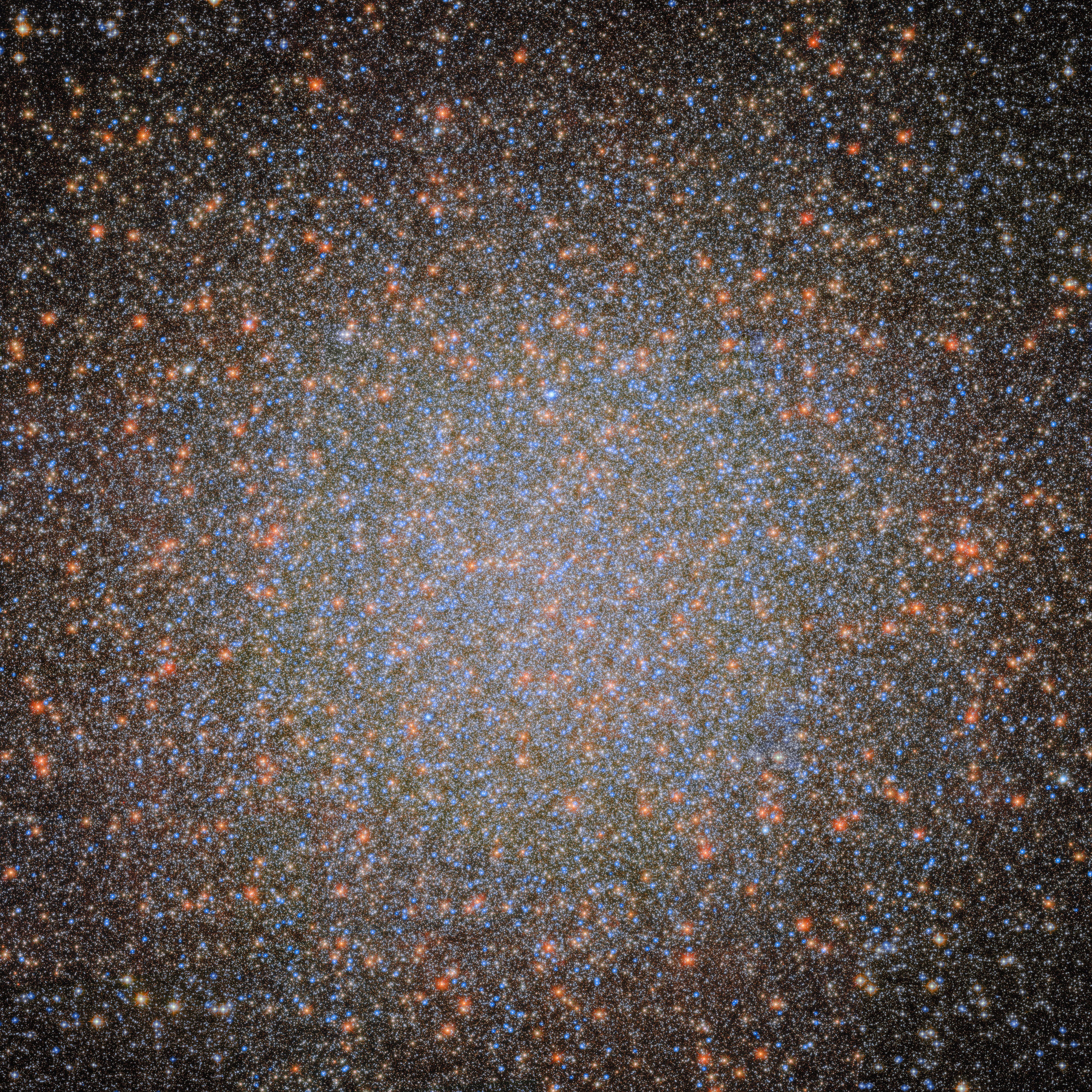 NASA ESA Hubble Space Telescope image of Omega Centauri the largest globular cluster in the Milky Way where stars cluster densely around an intermediate-mass black hole candidate