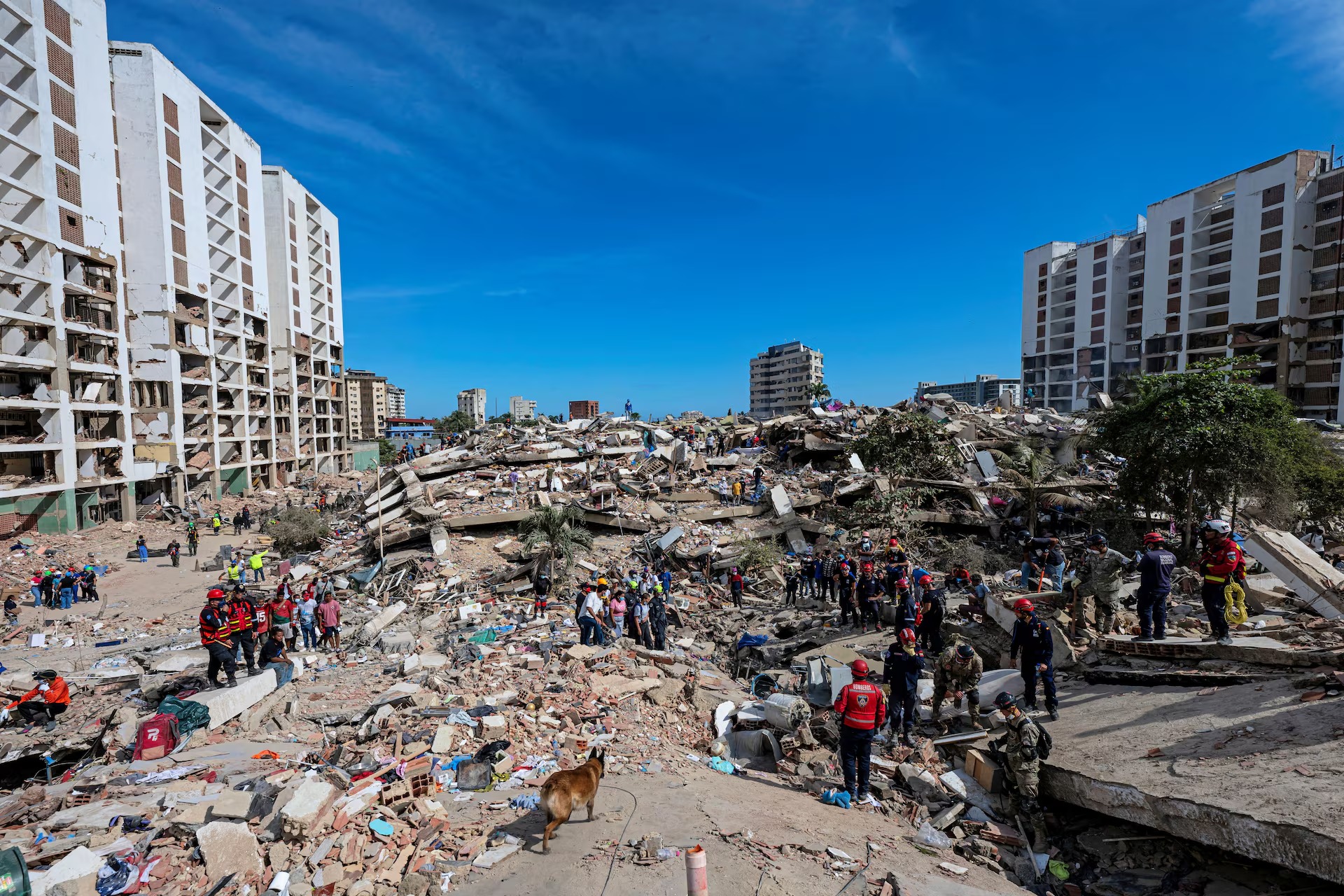 International rescue workers and search dogs deployed in La Guaira following Venezuela's 7.5-magnitude earthquake