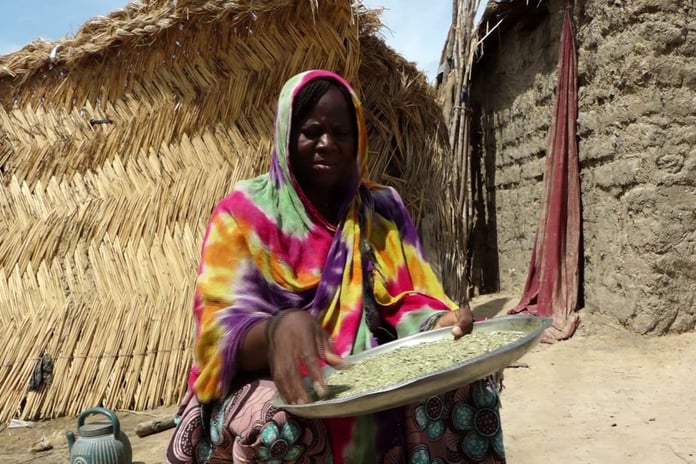 A displaced woman stands in a deteriorating camp in Maiduguri, Borno state