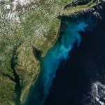 NASA Aqua MODIS satellite image of phytoplankton bloom off Mid-Atlantic coast Delaware New Jersey Maryland Virginia May 3 2026
