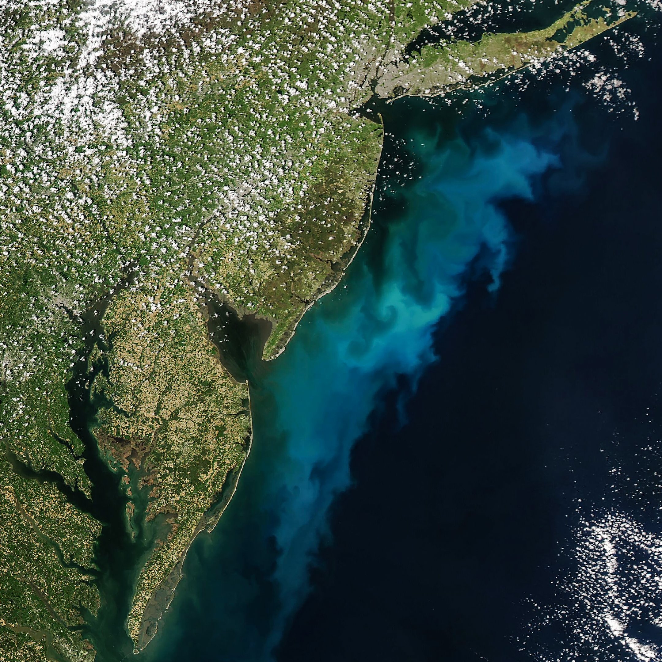 NASA Aqua MODIS satellite image of phytoplankton bloom off Mid-Atlantic coast Delaware New Jersey Maryland Virginia May 3 2026