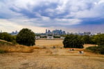 Scorched brown grass in Greenwich Park London England during the August 2022 UK heatwave when temperatures hit a record 40.3 degrees Celsius