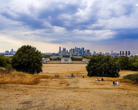 Scorched brown grass in Greenwich Park London England during the August 2022 UK heatwave when temperatures hit a record 40.3 degrees Celsius
