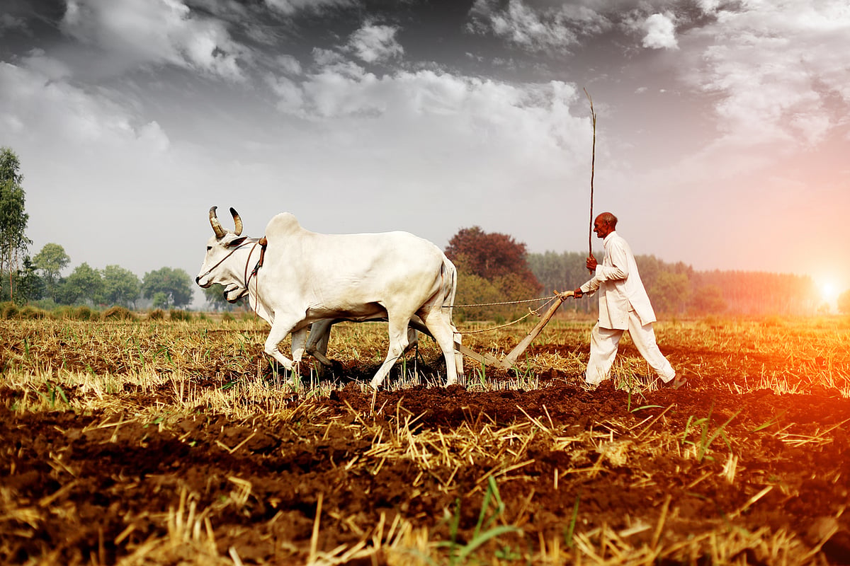 Indian agricultural fields facing drought risk as El Nino conditions threaten the 2026 kharif season