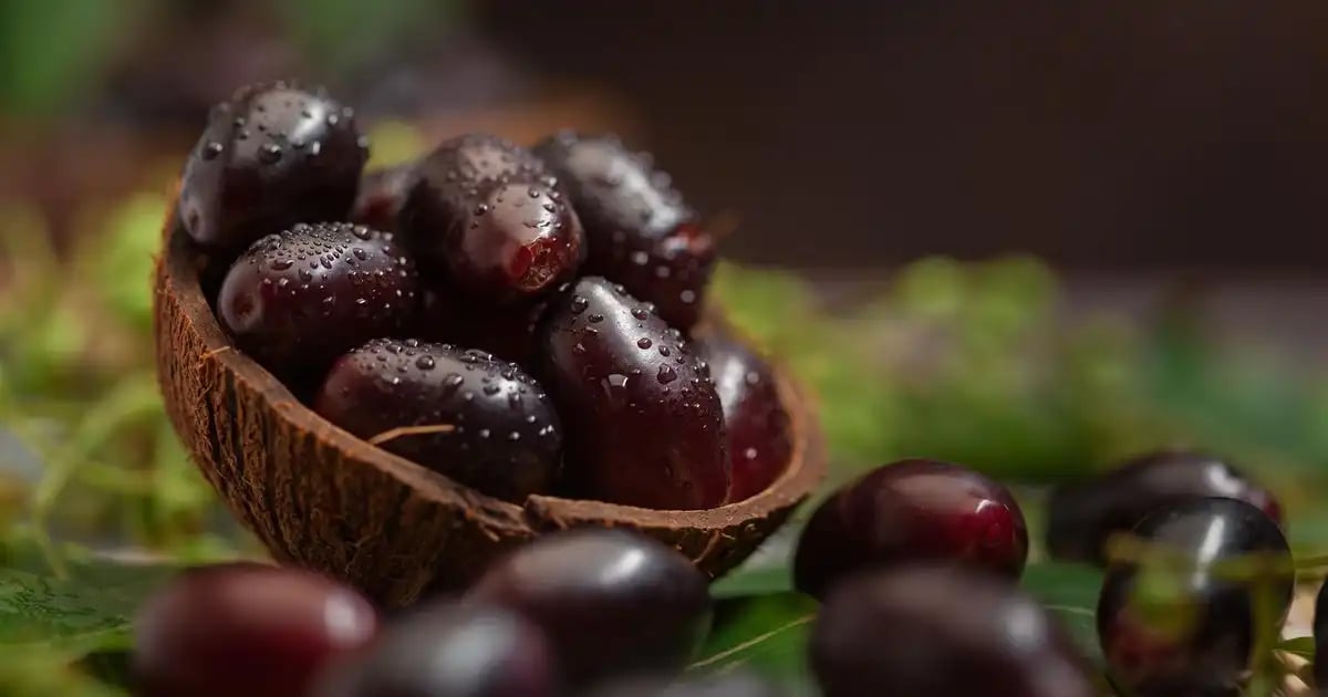Jamun seed powder used for managing blood sugar and diabetes