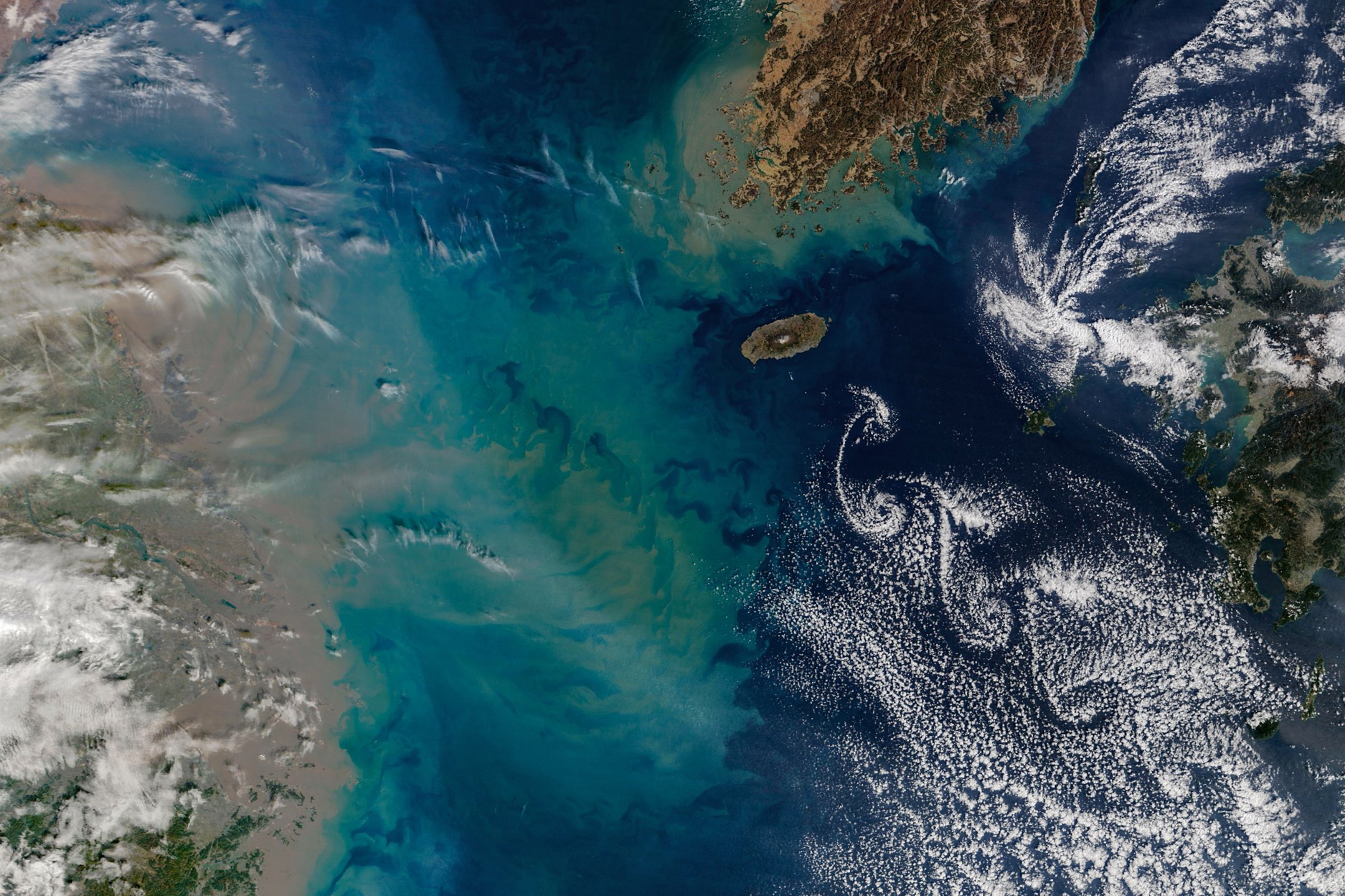 NASA Terra MODIS image of Jeju Island Korea Strait February 19 2026 with sediment plume from Chinese coast and cloud vortices