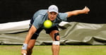 Kamil Majchrzak competing on grass at the Libema Open 2026 in s-Hertogenbosch