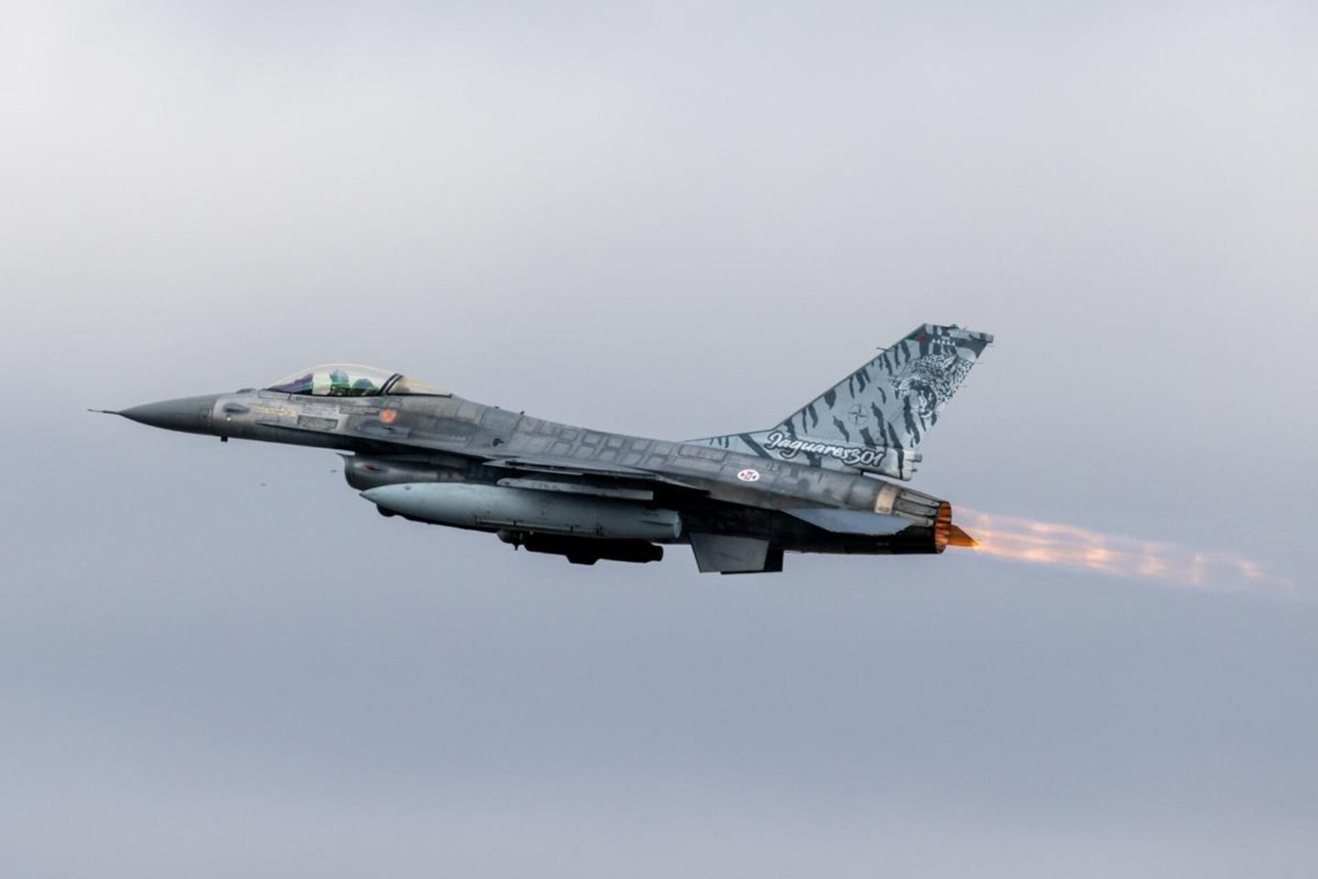 NATO Baltic Air Policing F-16 fighter aircraft patrolling Estonian airspace