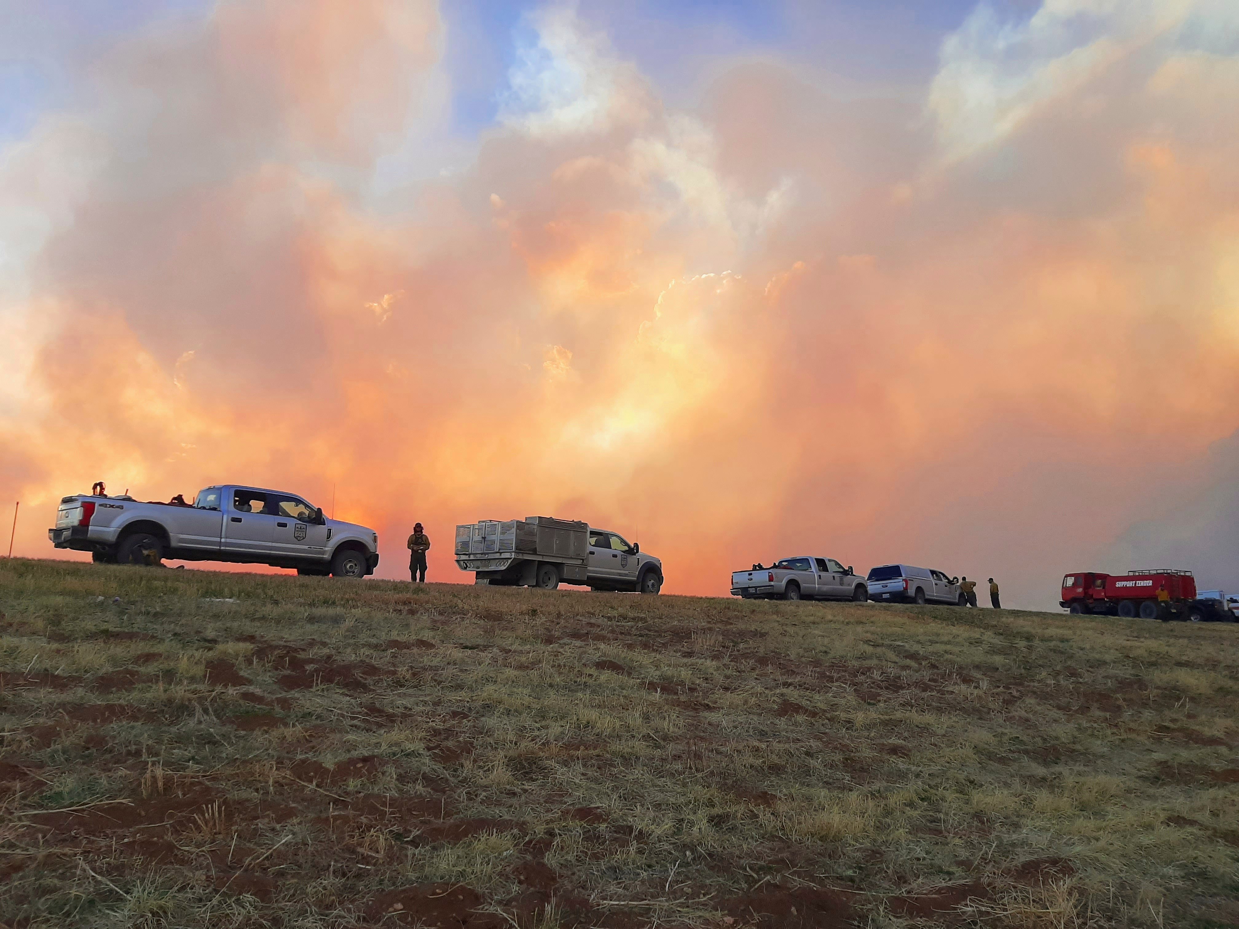 A wildfire burns through forest in New Mexico, the kind of dry, beetle-stressed landscape that increasingly turns into catastrophic fire