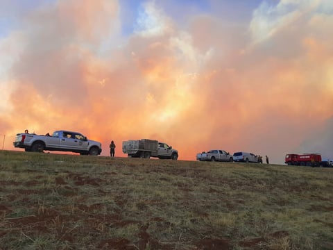 A wildfire burns through forest in New Mexico, the kind of dry, beetle-stressed landscape that increasingly turns into catastrophic fire