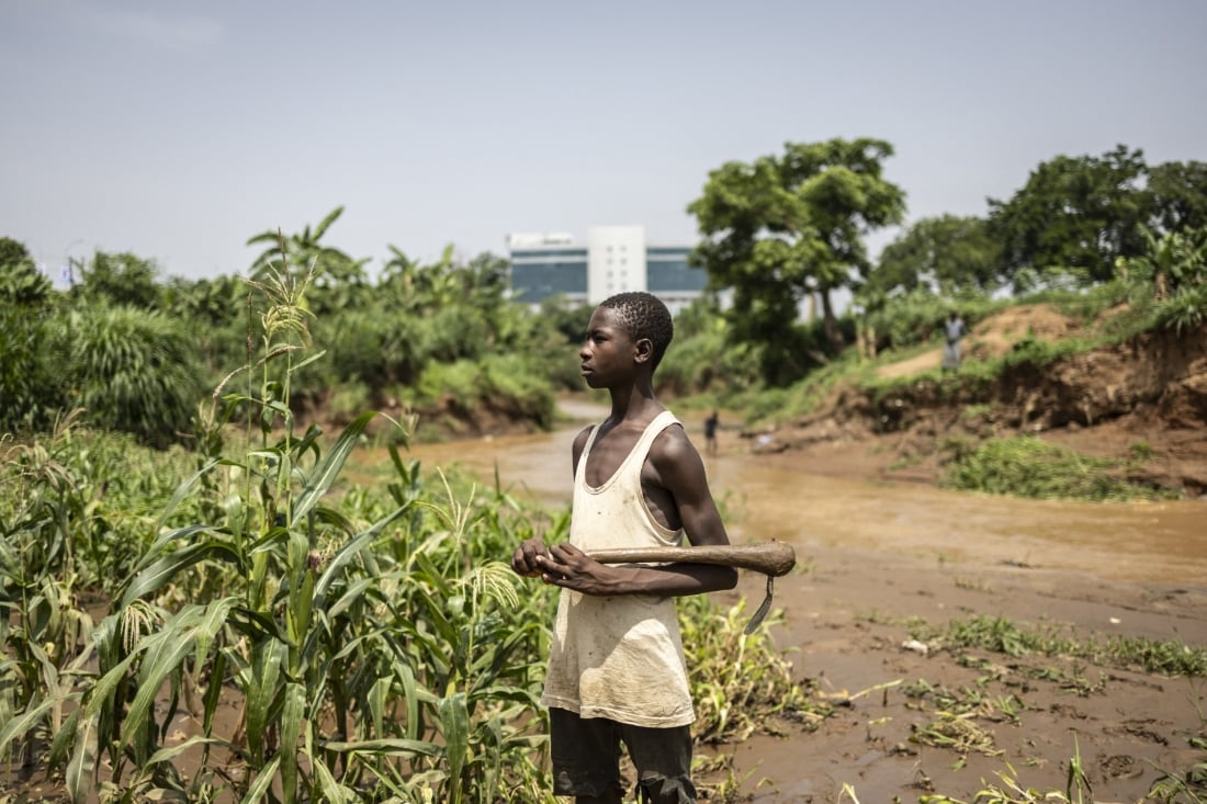 A young worker on an urban farm in Abuja as banditry drives farmers off rural land