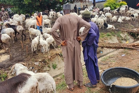 Shoppers at an open-air livestock market in Abuja, Nigeria, amid a rising cost of living