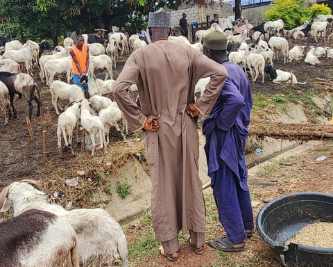 Shoppers at an open-air livestock market in Abuja, Nigeria, amid a rising cost of living