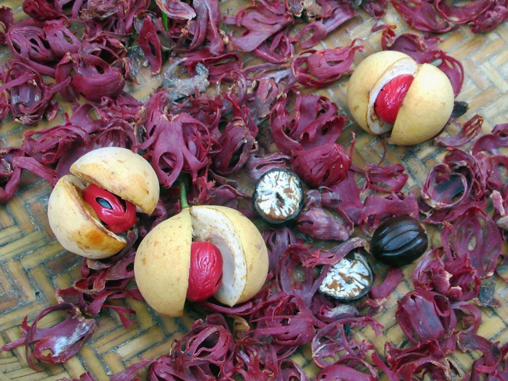 Nutmeg and mace spices, core McCormick & Company products in its consumer segment