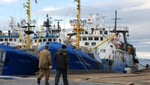 Russian fishing vessels docked at Kirkenes port in Norway, one of the last EU-adjacent ports still open to Russian cod trawlers under current sanctions