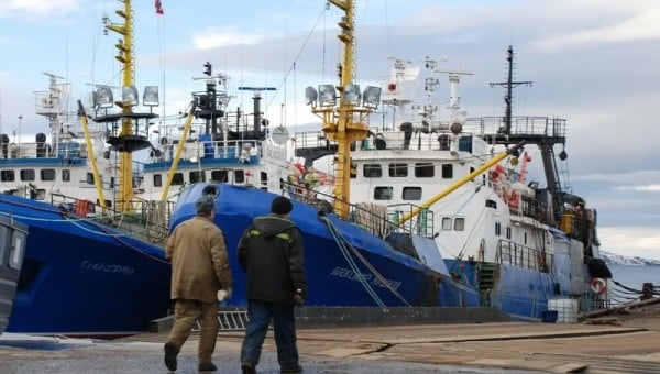 Russian fishing vessels docked at Kirkenes port in Norway, one of the last EU-adjacent ports still open to Russian cod trawlers under current sanctions