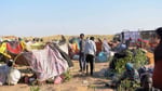 Displaced Sudanese civilians in makeshift tents after fleeing RSF takeover of el-Fasher North Darfur Sudan