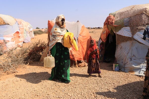 Vulnerable families affected by the Middle East crisis receive food assistance, as the World Food Programme warns millions are being pushed into hunger